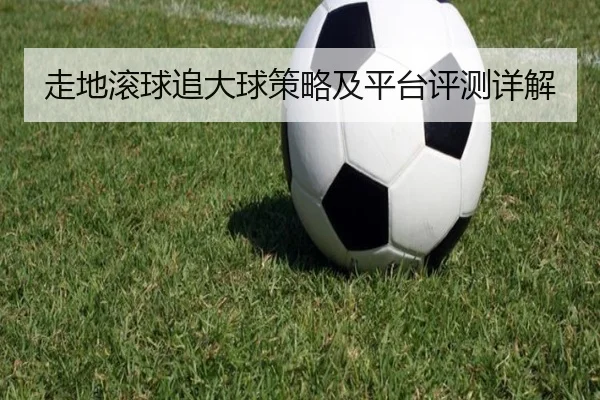 走地滚球追大球策略及平台评测详解